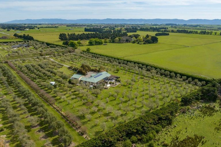 Photo of property in 1/239 Lake Ferry Road, Martinborough, 5781