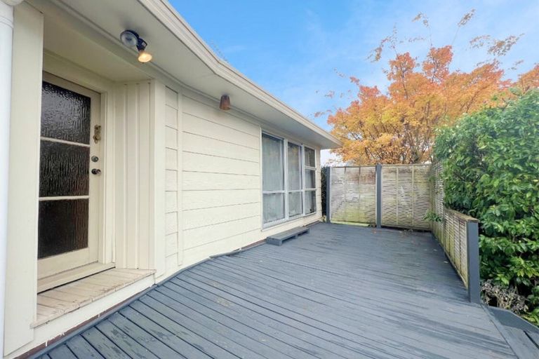 Photo of property in 29 Kowhai Street, Hamilton Lake, Hamilton, 3204