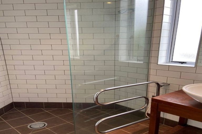 Photo of property in 22 Selkirk Street, Roslyn, Dunedin, 9010