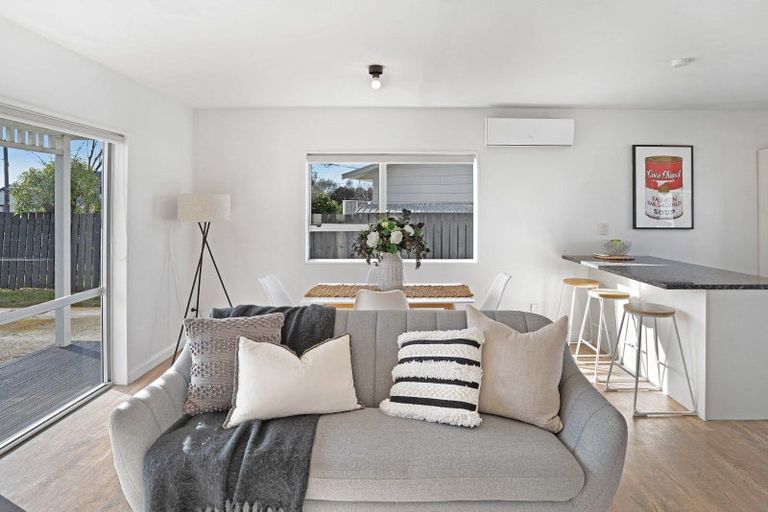 Photo of property in 81 Jellicoe Street, Martinborough, 5711