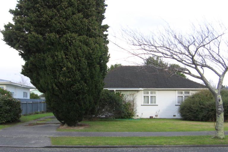 Photo of property in 67 Guy Avenue, Takaro, Palmerston North, 4410