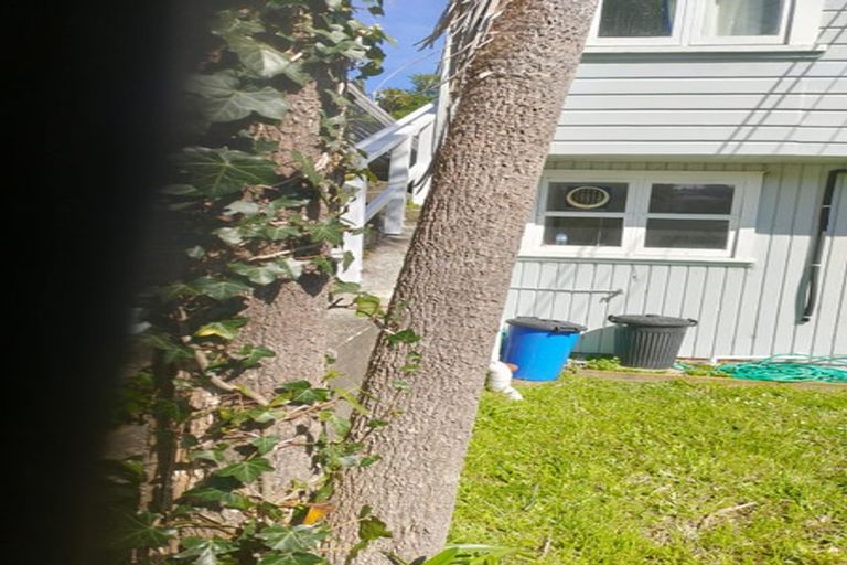 Photo of property in 258 Ohiro Road, Brooklyn, Wellington, 6021