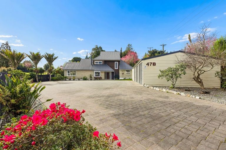 Photo of property in 47b Taniwha Place, Bethlehem, Tauranga, 3176