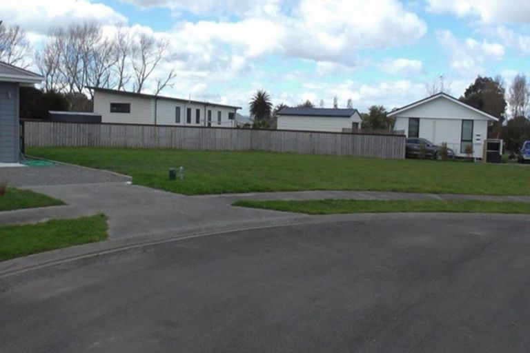 Photo of property in 8 Mckerrow Place, Featherston, 5710