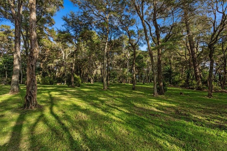 Photo of property in 449 Grieve Road, Te Teko, Whakatane, 3193