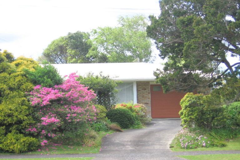 Photo of property in 66 Kensington Road, Waihi, 3610