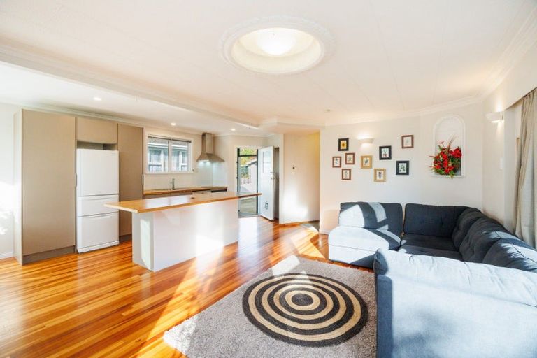 Photo of property in 132 Limbrick Street, Terrace End, Palmerston North, 4410