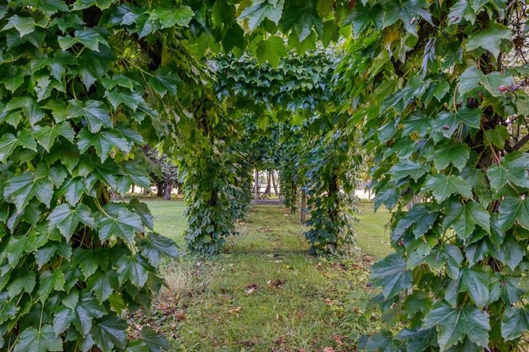 Photo of property in 46g Johnson Road, Otakiri, Whakatane, 3192