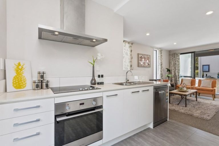 Photo of property in 13 Makamaka Lane, Albany Heights, Auckland, 0632