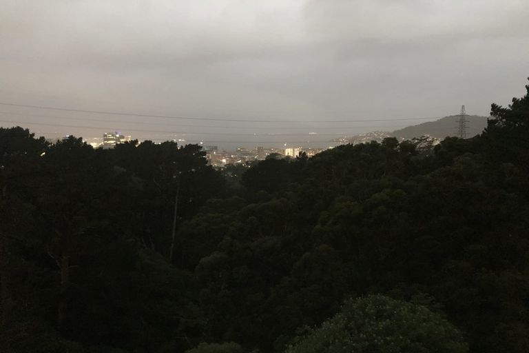 Photo of property in 61 Mortimer Terrace, Brooklyn, Wellington, 6021