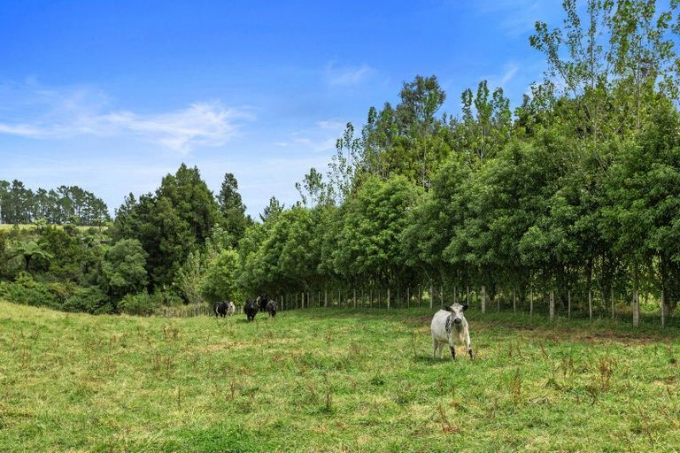 Photo of property in 1556d Pyes Pa Road, Oropi, Tauranga, 3173