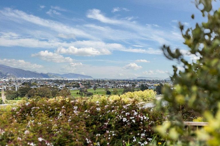 Photo of property in 25 Palm Grove, Belmont, Lower Hutt, 5010