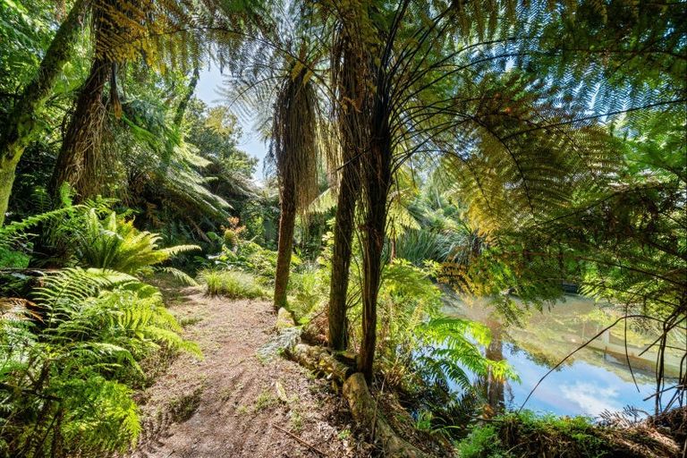 Photo of property in 66 Kent Terrace, Midhirst, Stratford, 4394