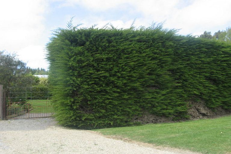 Photo of property in 45 Old Main Road North, Leithfield, Amberley, 7481