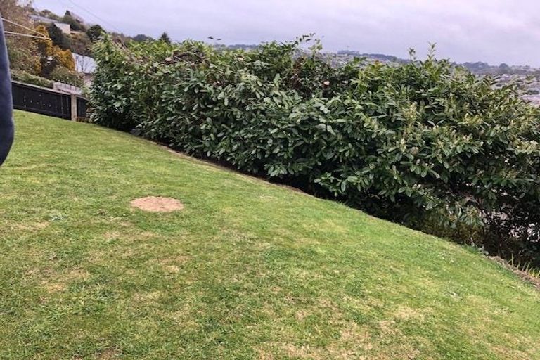 Photo of property in 21 Tyne Street, Roslyn, Dunedin, 9010