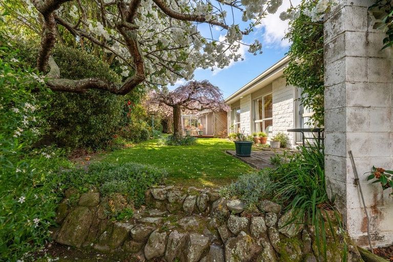 Photo of property in 58 Mountain View Road, Glenwood, Timaru, 7910