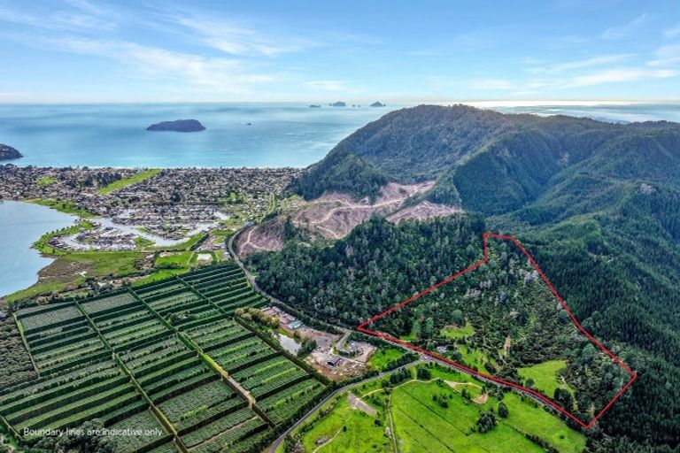 Photo of property in 896a Hikuai Settlement Road, Pauanui, Hikuai, 3579