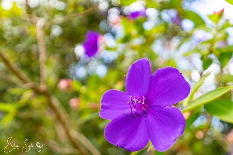 Photo of property in 7 Griffin Road, Maungaturoto, 0520