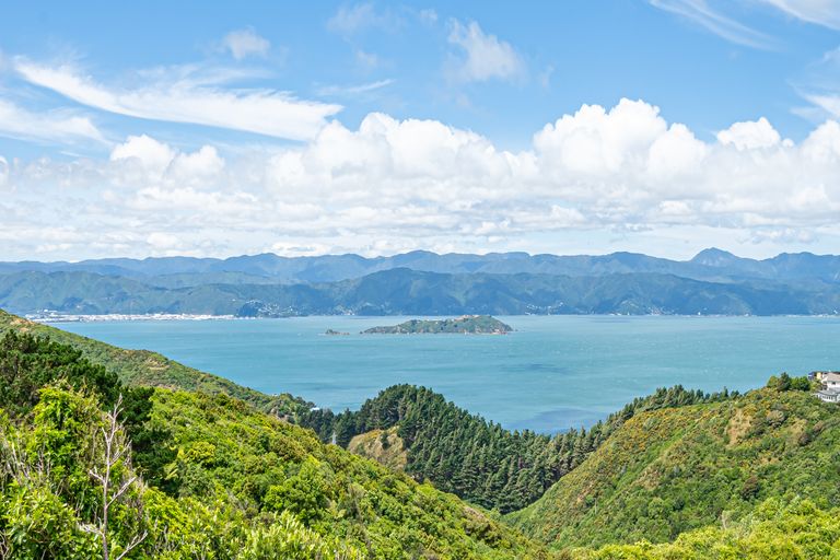 Photo of property in 42 Gurkha Crescent, Khandallah, Wellington, 6035