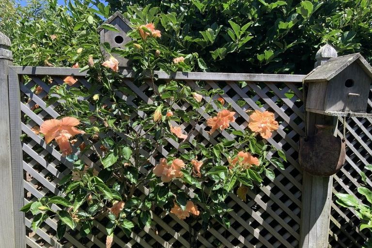 Photo of property in 40 Lakeside Drive, Orewa, 0931