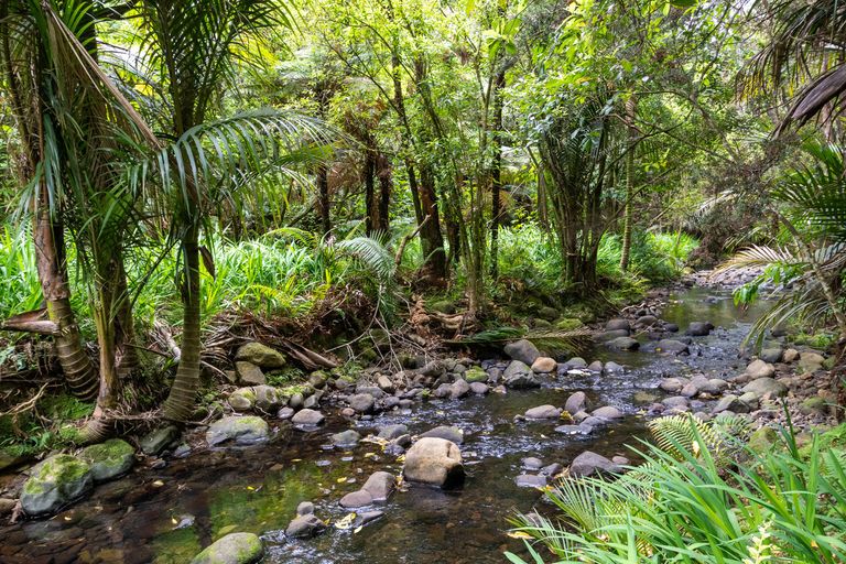 Photo of property in 3 Opanuku Road, Henderson Valley, Auckland, 0612