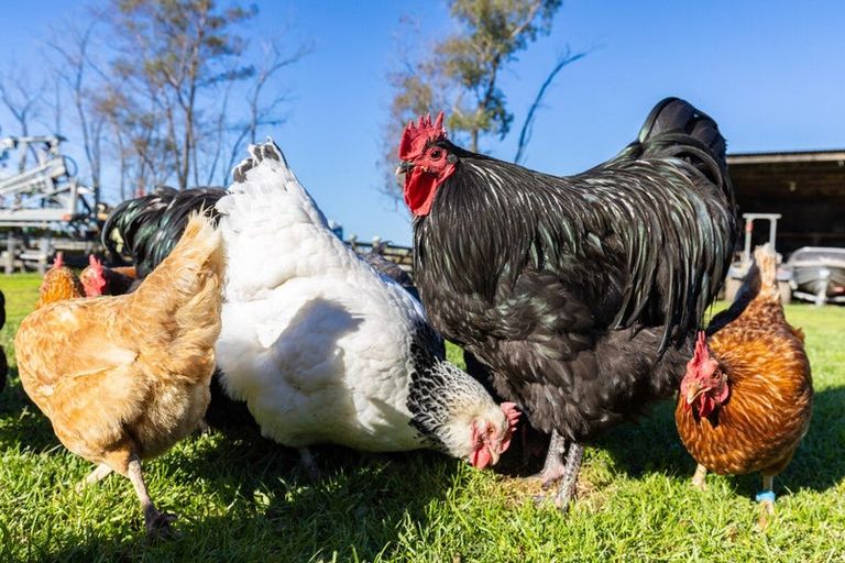 Photo of property in 2d Ferry Road, Spring Creek, 7202