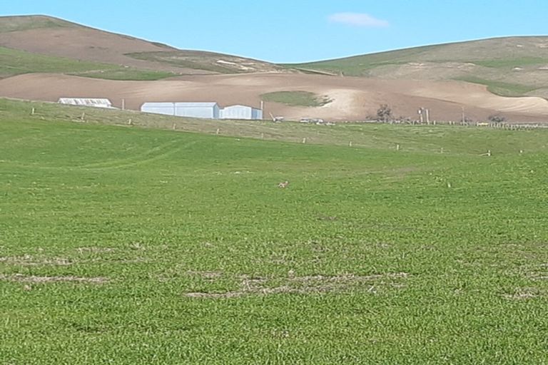 Photo of property in 233 Elephant Hill Road, Waihao Downs, Waimate, 7977