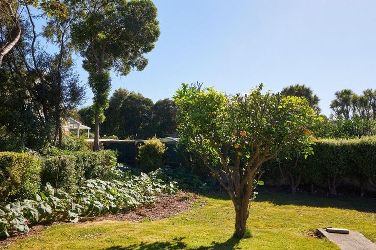 Photo of property in 702 State Highway 1, Peketa, Kaikoura, 7374