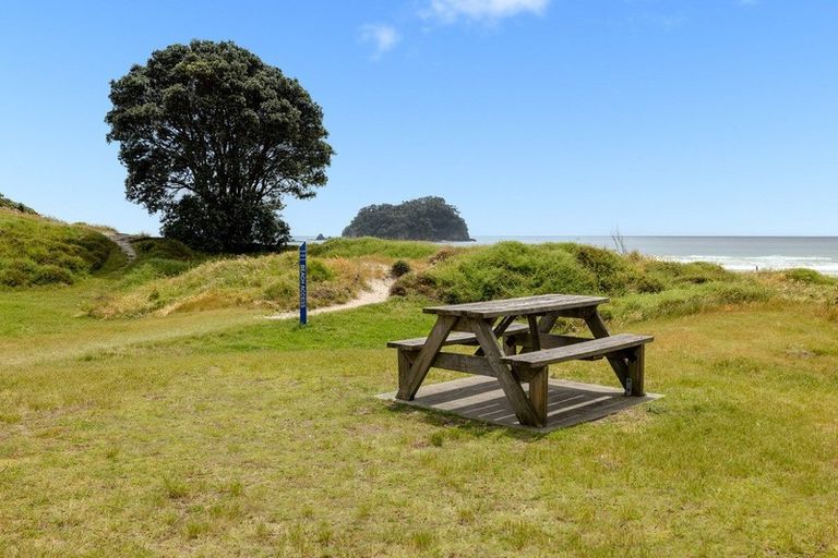 Photo of property in 18b Muricata Avenue, Mount Maunganui, 3116