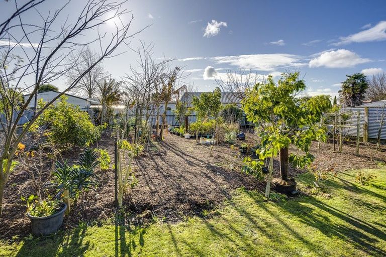 Photo of property in 1022 Konini Street, Mahora, Hastings, 4120