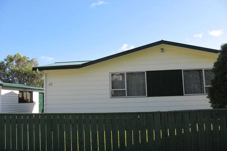 Photo of property in 45 Antrim Crescent, Wainuiomata, Lower Hutt, 5014