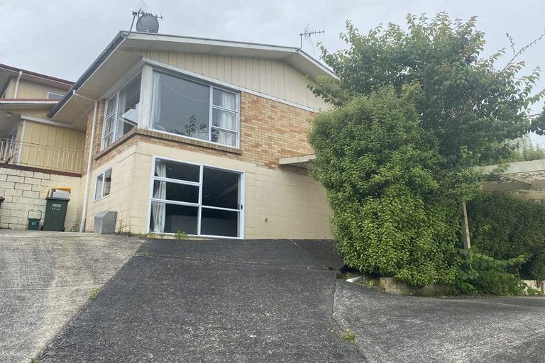 Photo of property in 103 Aurora Terrace, Hillcrest, Hamilton, 3216