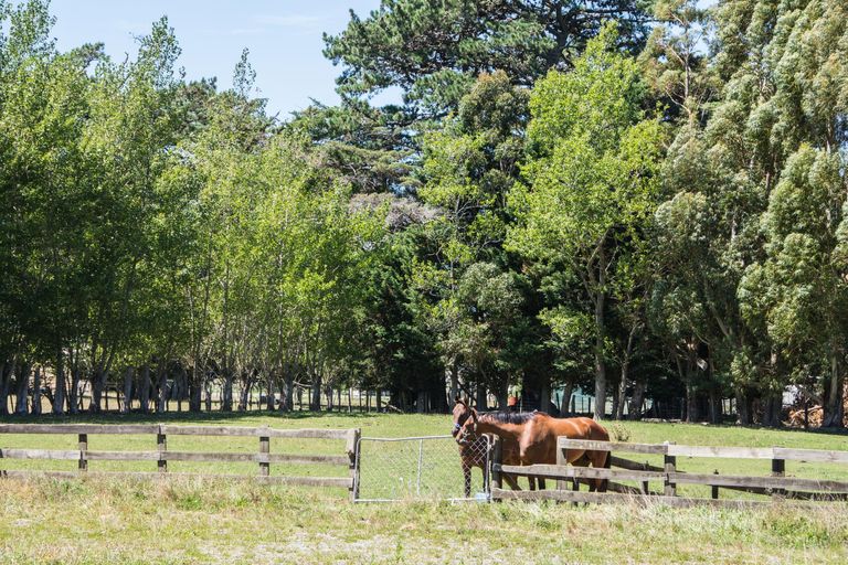 Photo of property in 368 Belvedere Road, Carrington, Carterton, 5791