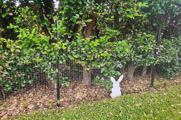 Photo of property in 3a Doment Crescent, Orewa, 0931