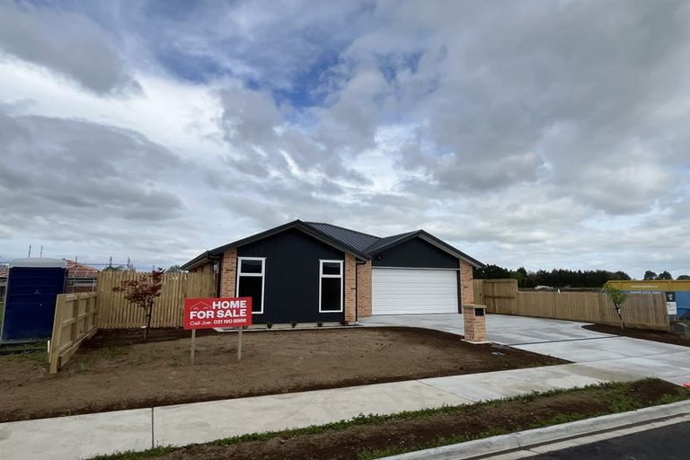 Photo of property in 25 Buxton Crescent, Matamata, 3400