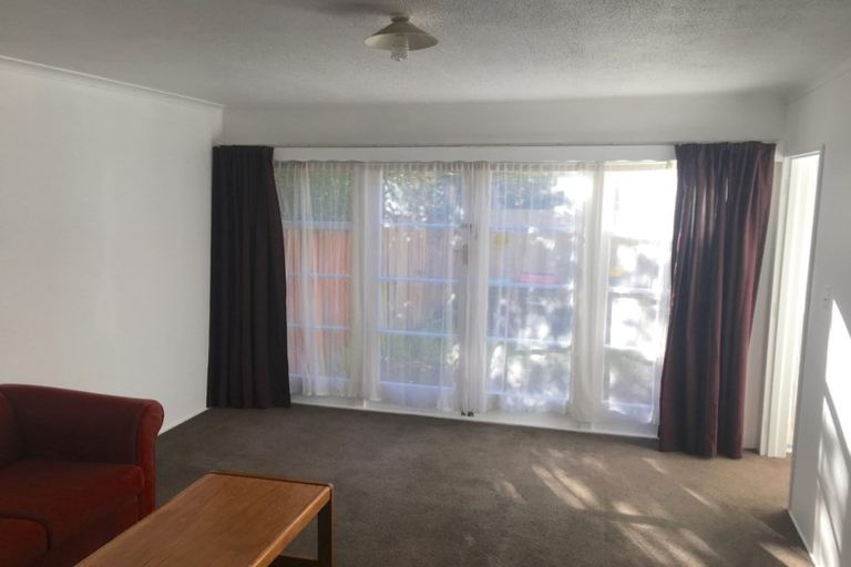 Photo of property in 2/53 Mathesons Road, Phillipstown, Christchurch, 8011