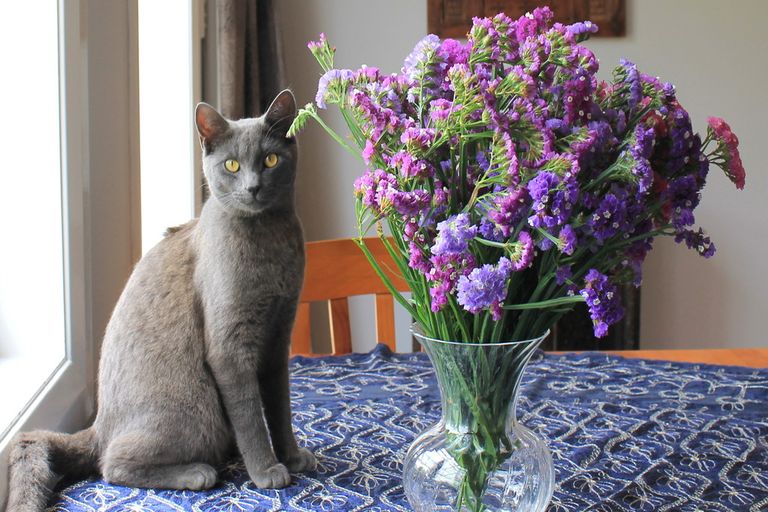 Photo of property in 23 Blue Gum Lane, Kerikeri, 0293