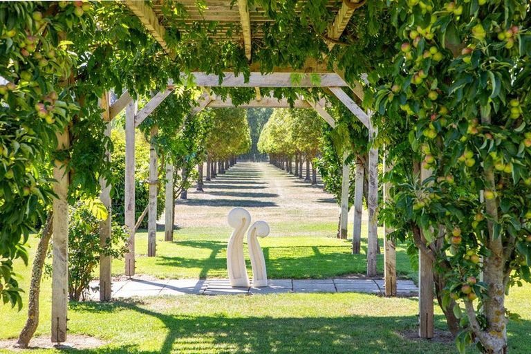 Photo of property in 190 Airport Road, Alexandra, 9391