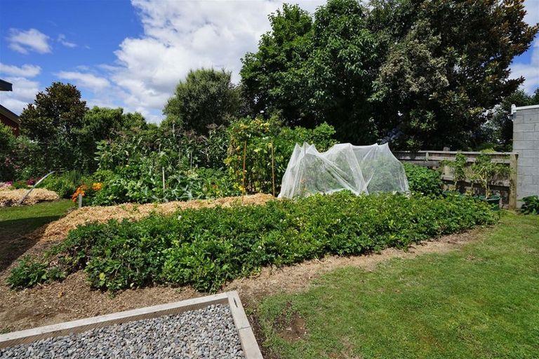 Photo of property in 47 Queenwood Avenue, Queenwood, Hamilton, 3210