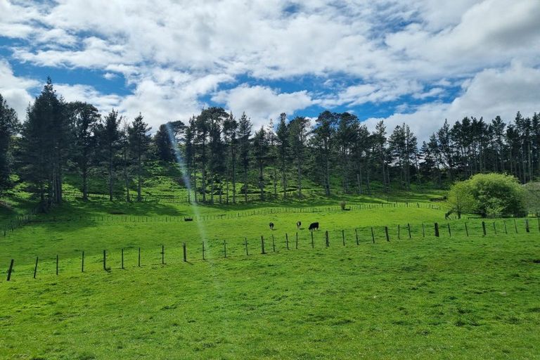 Photo of property in 145 Peers Road, Omanawa, Tauranga, 3171