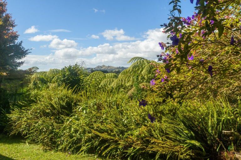 Photo of property in 45 Oropi Gorge Road, Pyes Pa, Tauranga, 3173