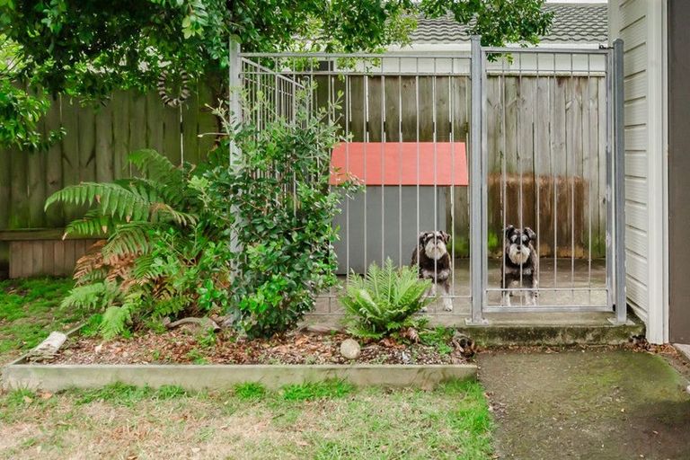 Photo of property in 61 Arawhata Road, Paraparaumu, 5032