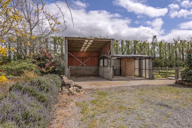 Photo of property in 56 Harmans Road, Leeston, 7682