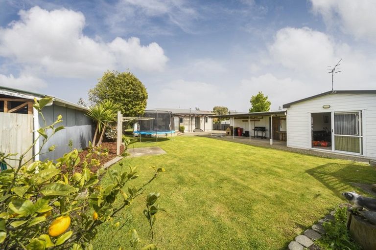 Photo of property in 9 Haybittle Street, Feilding, 4702