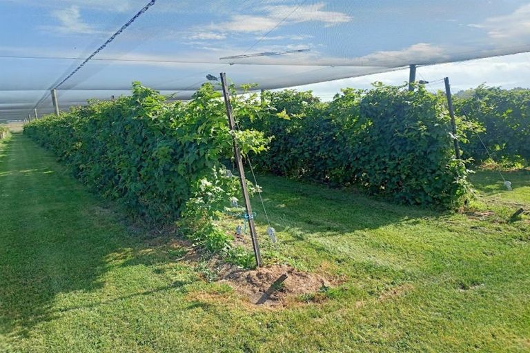 Photo of property in 1686 Waimate Highway, Makikihi, Waimate, 7978