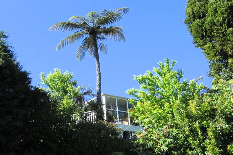 Photo of property in 6 Ward Street, Gate Pa, Tauranga, 3112