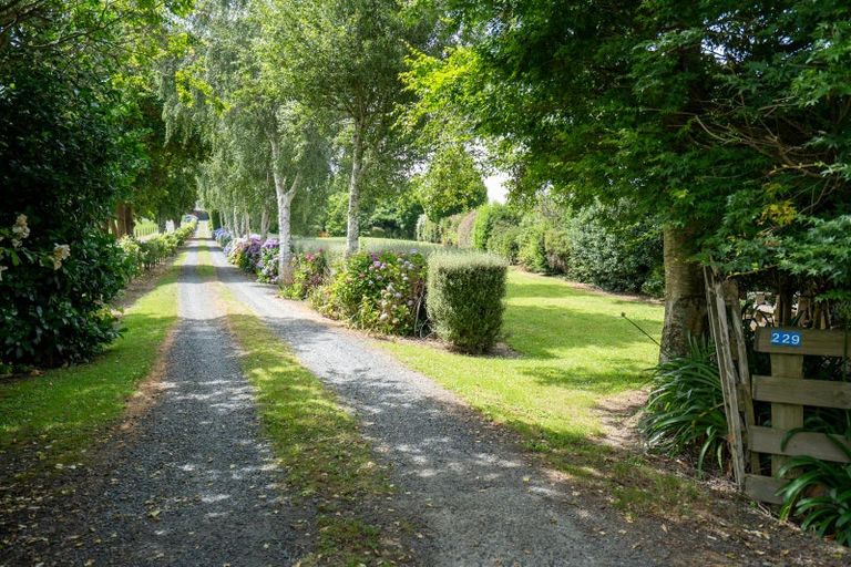 Photo of property in 229 Norwegian Road, Rotoorangi, Cambridge, 3495