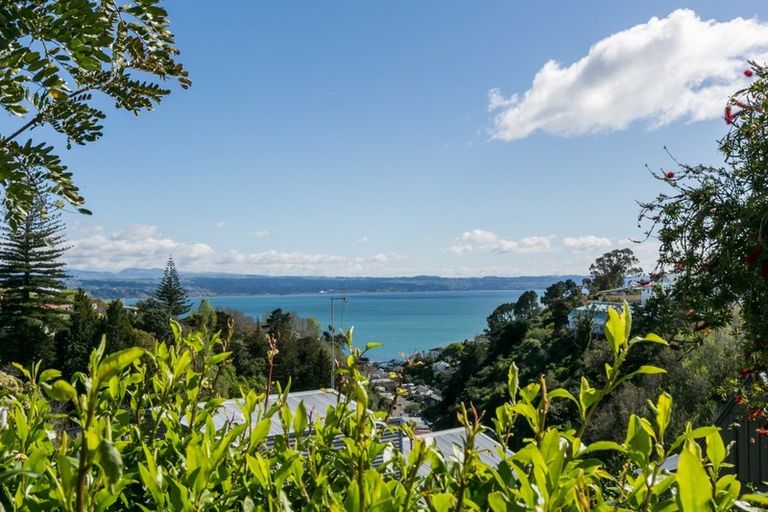 Photo of property in 17a Lincoln Road, Bluff Hill, Napier, 4110