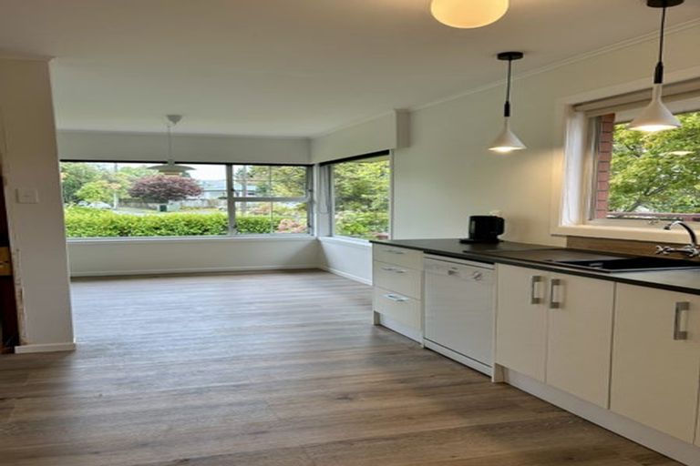 Photo of property in 55 Howell Avenue, Riverlea, Hamilton, 3216