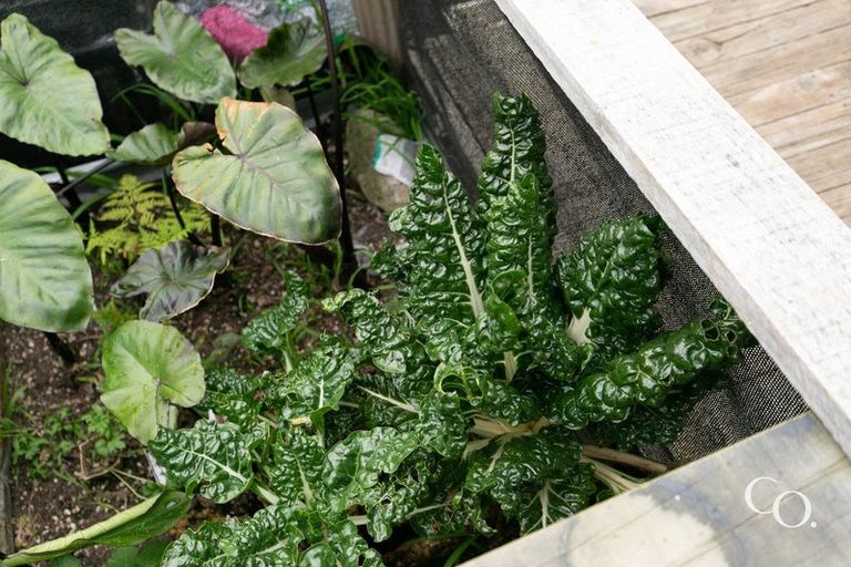 Photo of property in 1/230 Mayfair Avenue, Mayfair, Hastings, 4122